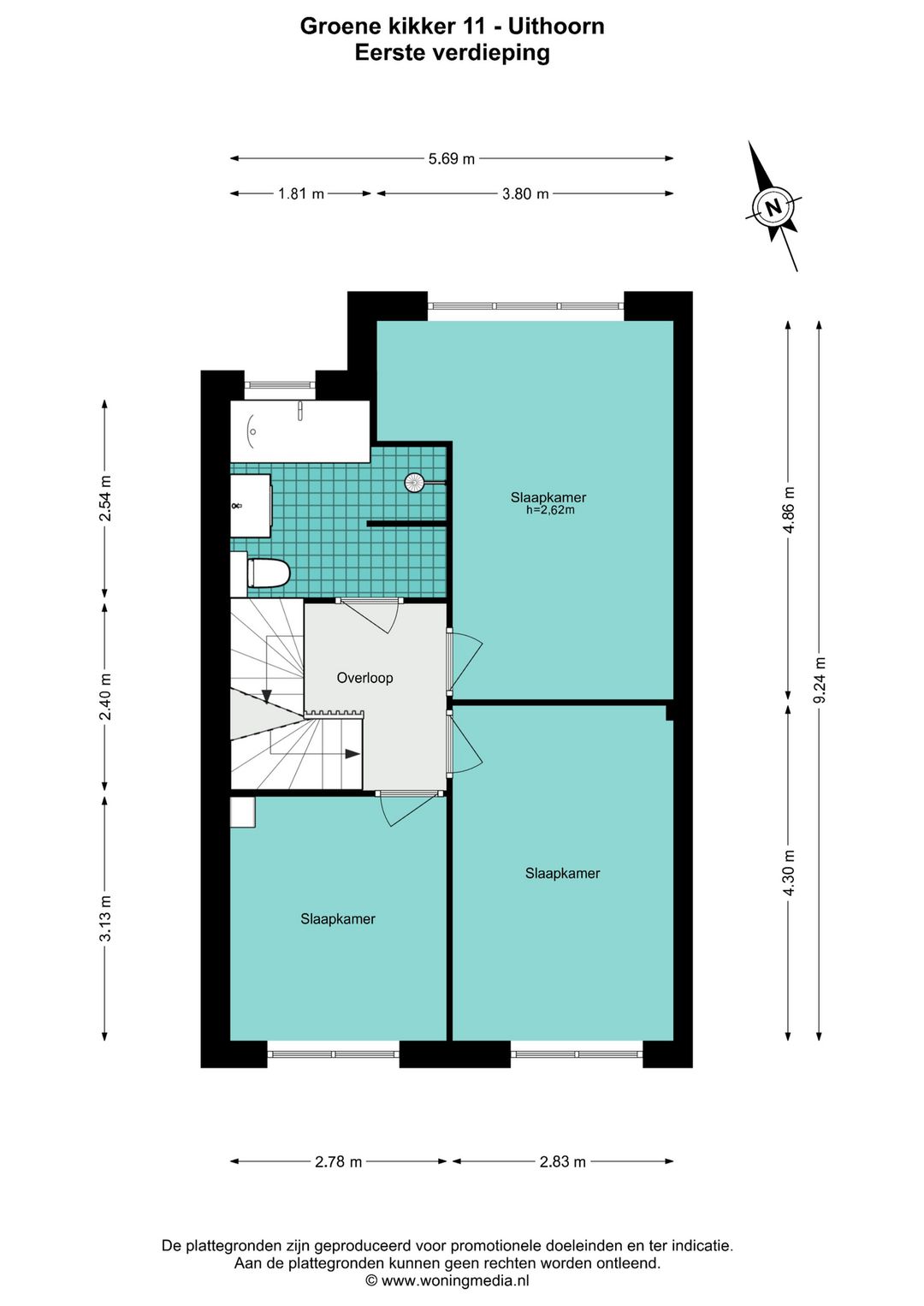 Photo 43 of Groene Kikker 11
