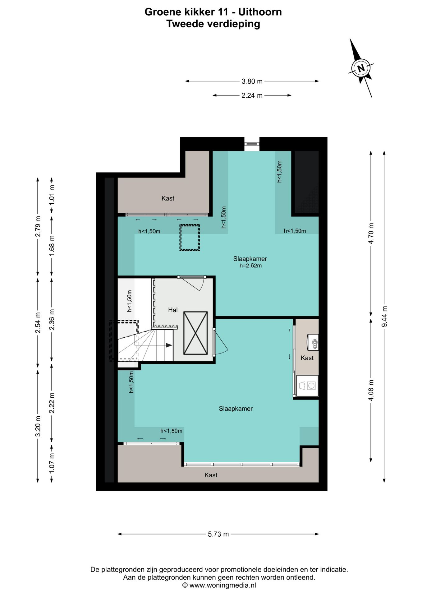 Photo 44 of Groene Kikker 11
