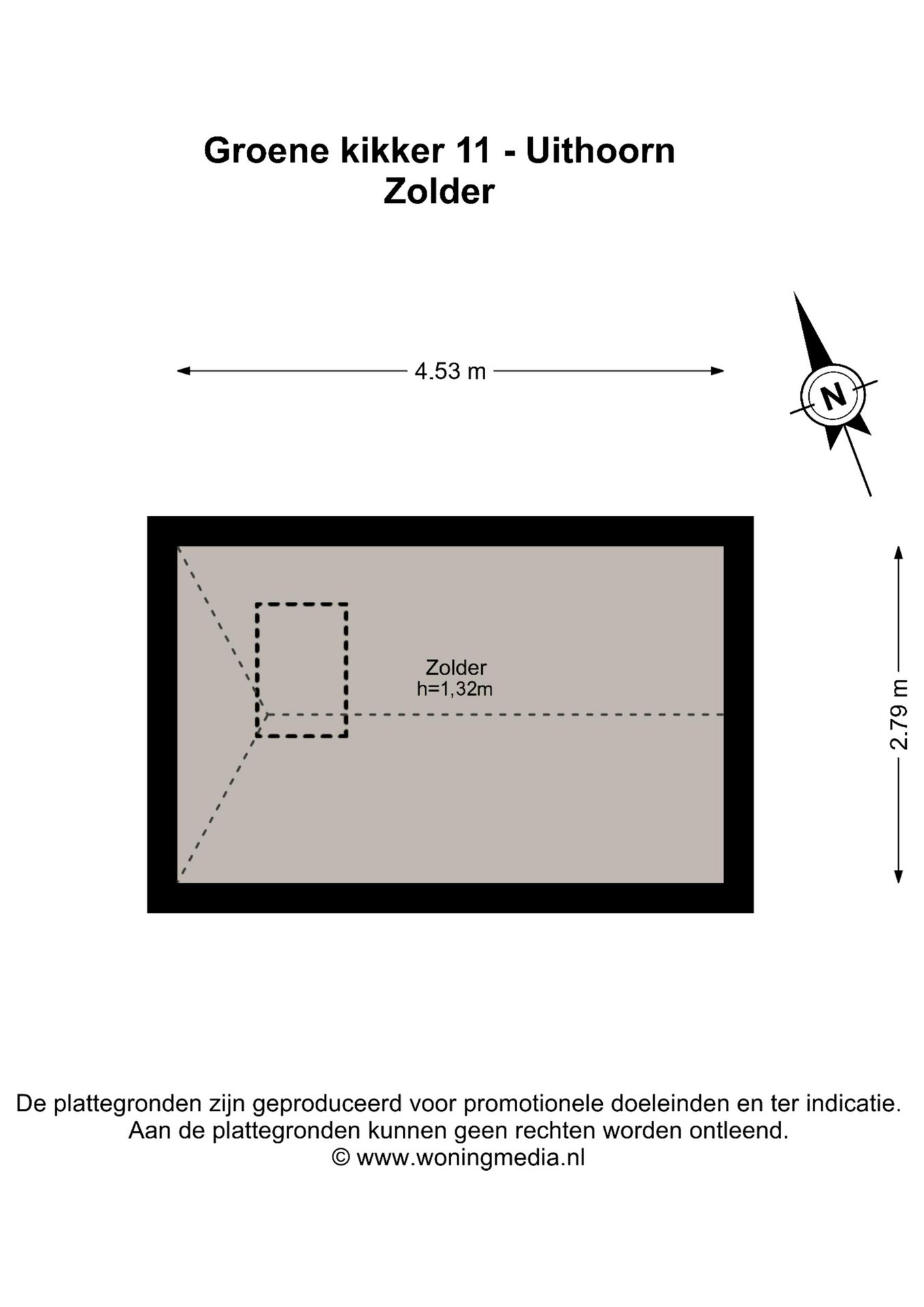 Photo 45 of Groene Kikker 11
