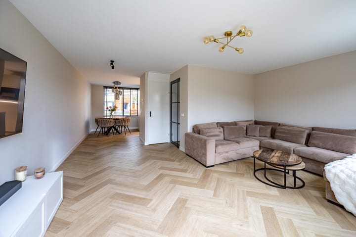 Foto 11 van Kleefkruid 11