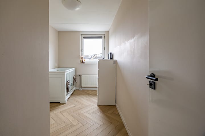 Foto 25 van Kleefkruid 11