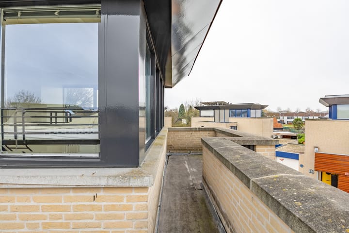 Foto 35 van Kleefkruid 11