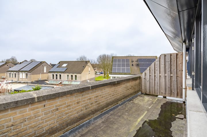 Foto 37 van Kleefkruid 11