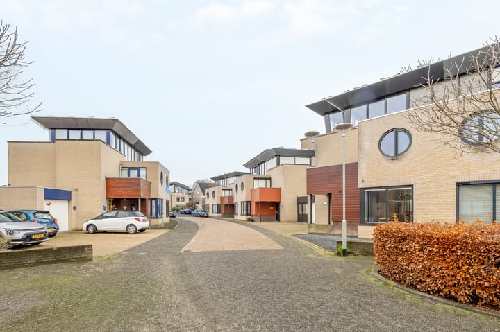 Foto 47 van Kleefkruid 11