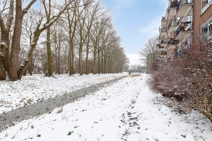 Foto 24 van Berkenlaan 131