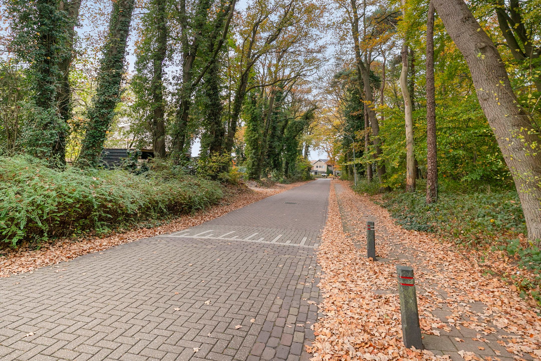 Foto 39 van Boskamp 23