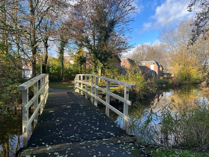 Foto 56 van Golfslag 164