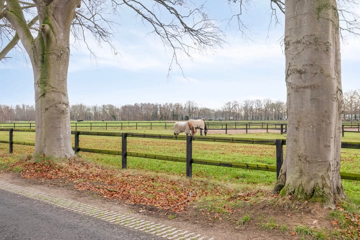 Foto 37 van Nieuw Steeg 3