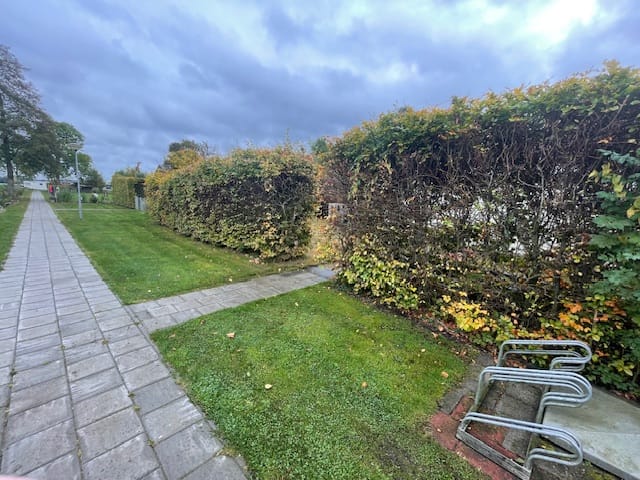 Photo 12 of Binnenpad 113-R1