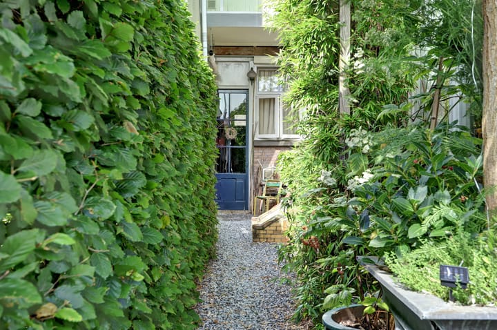 Foto 44 van Wijnstraat 104