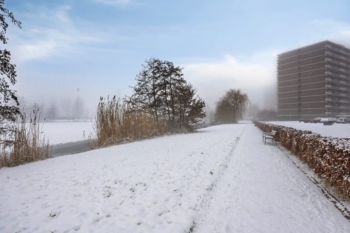 Foto 26 van Aalscholversingel 428