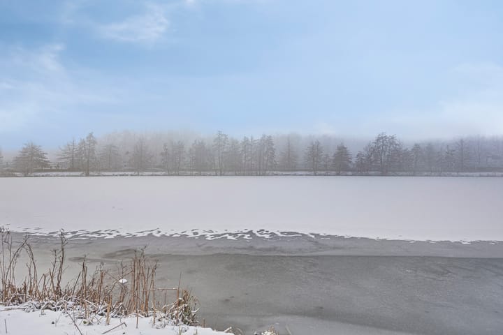 Foto 27 van Aalscholversingel 428