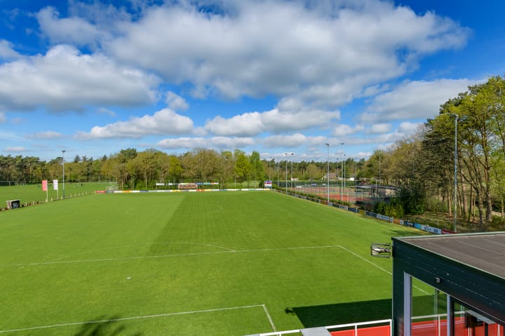 Photo 14 of Harfsens Hart