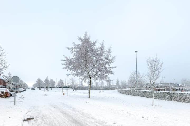 Foto 58 van Vrieswijkstraat 9