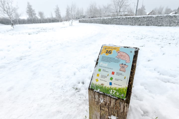 Foto 60 van Vrieswijkstraat 9