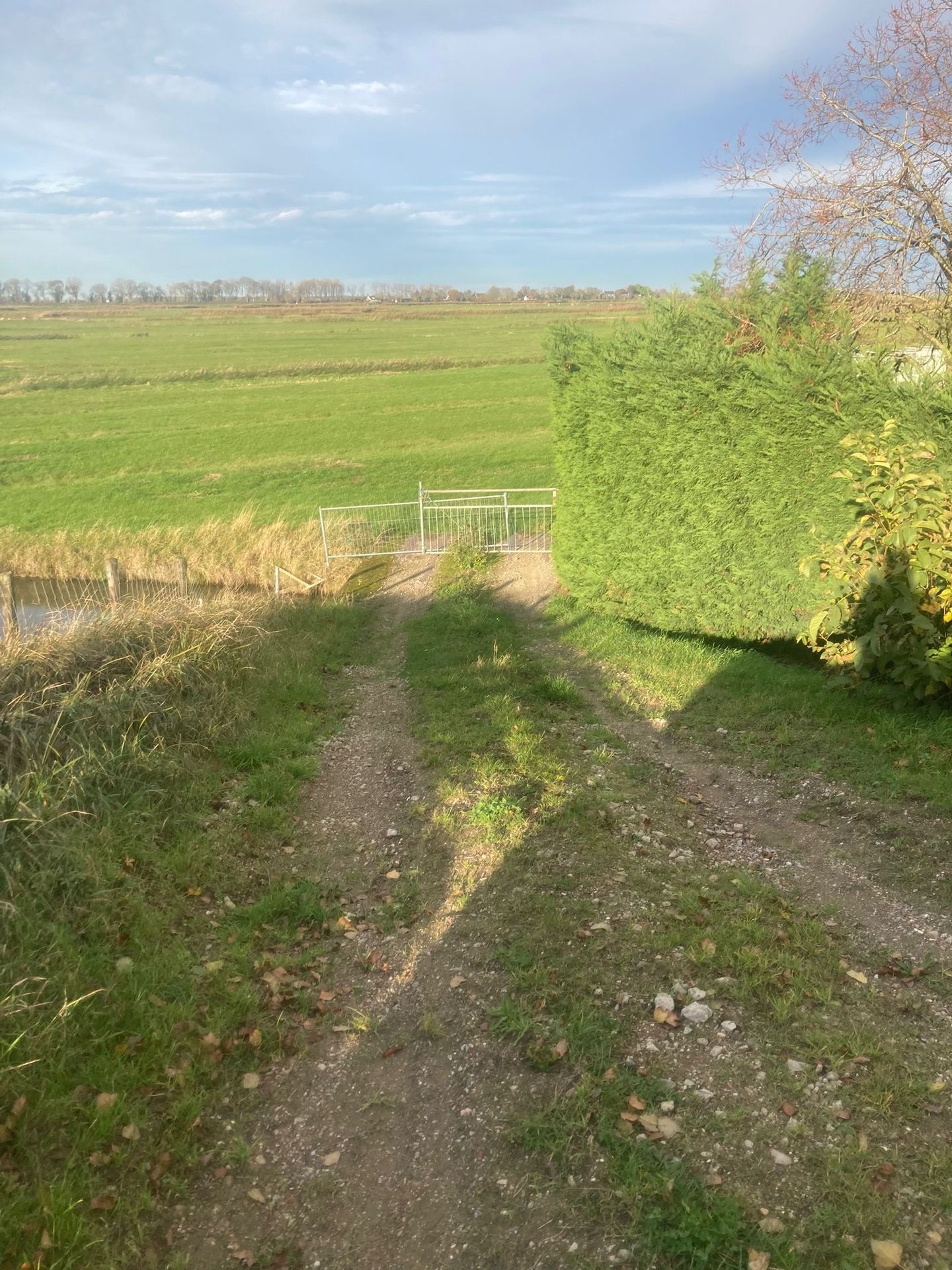 View photo 5 of Weelsedijk 54