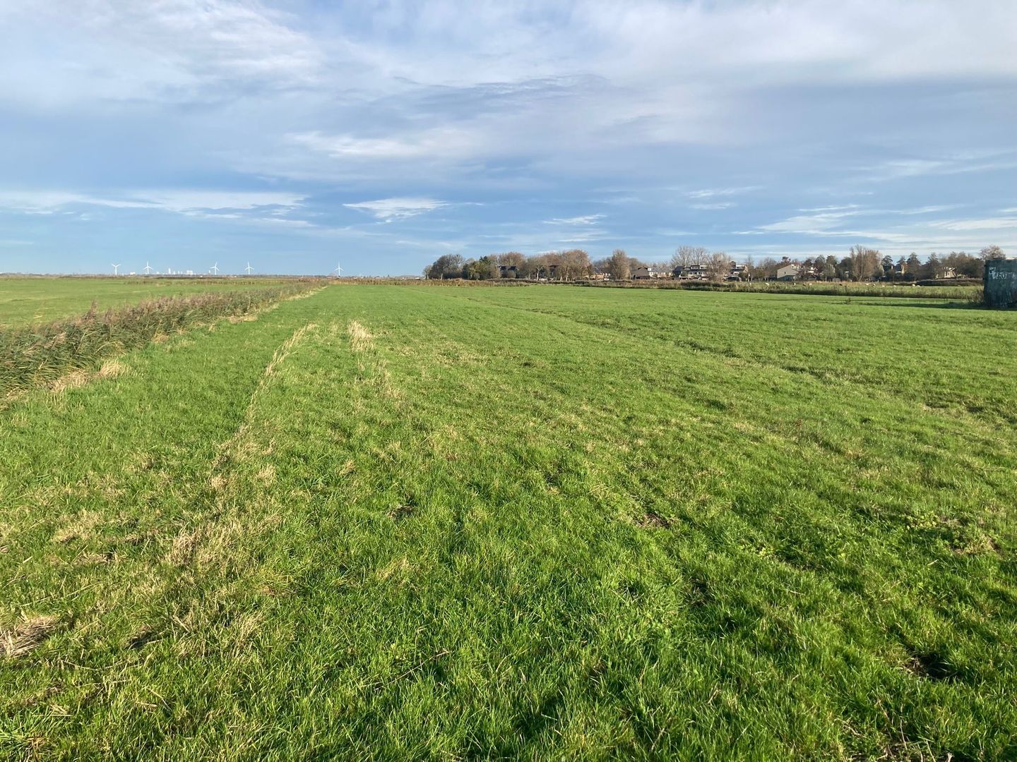 View photo 2 of Weelsedijk 54