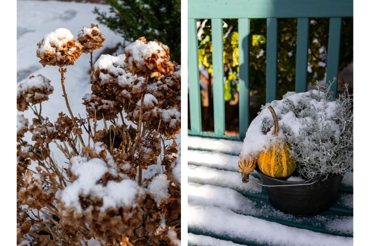 Foto 41 van Lotharingenweg 72