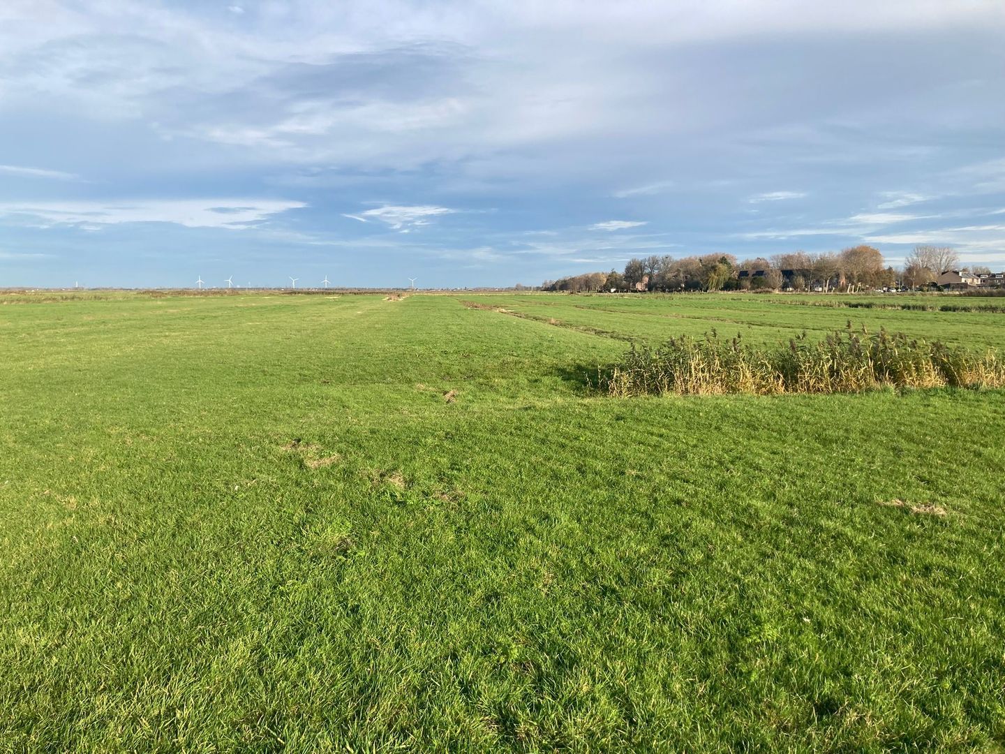 View photo 4 of Weelsedijk 54