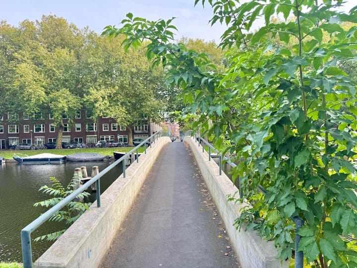 Foto 34 van Poeldijkstraat 347