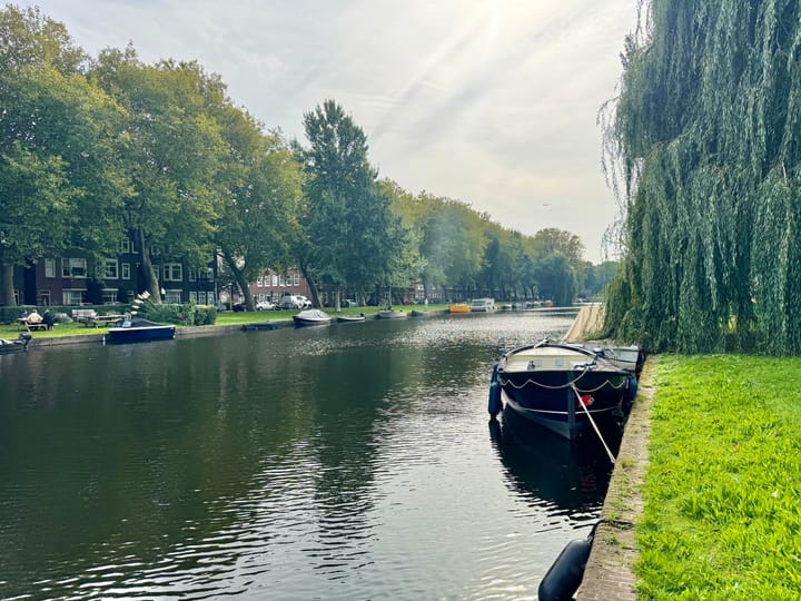 Foto 33 van Poeldijkstraat 347