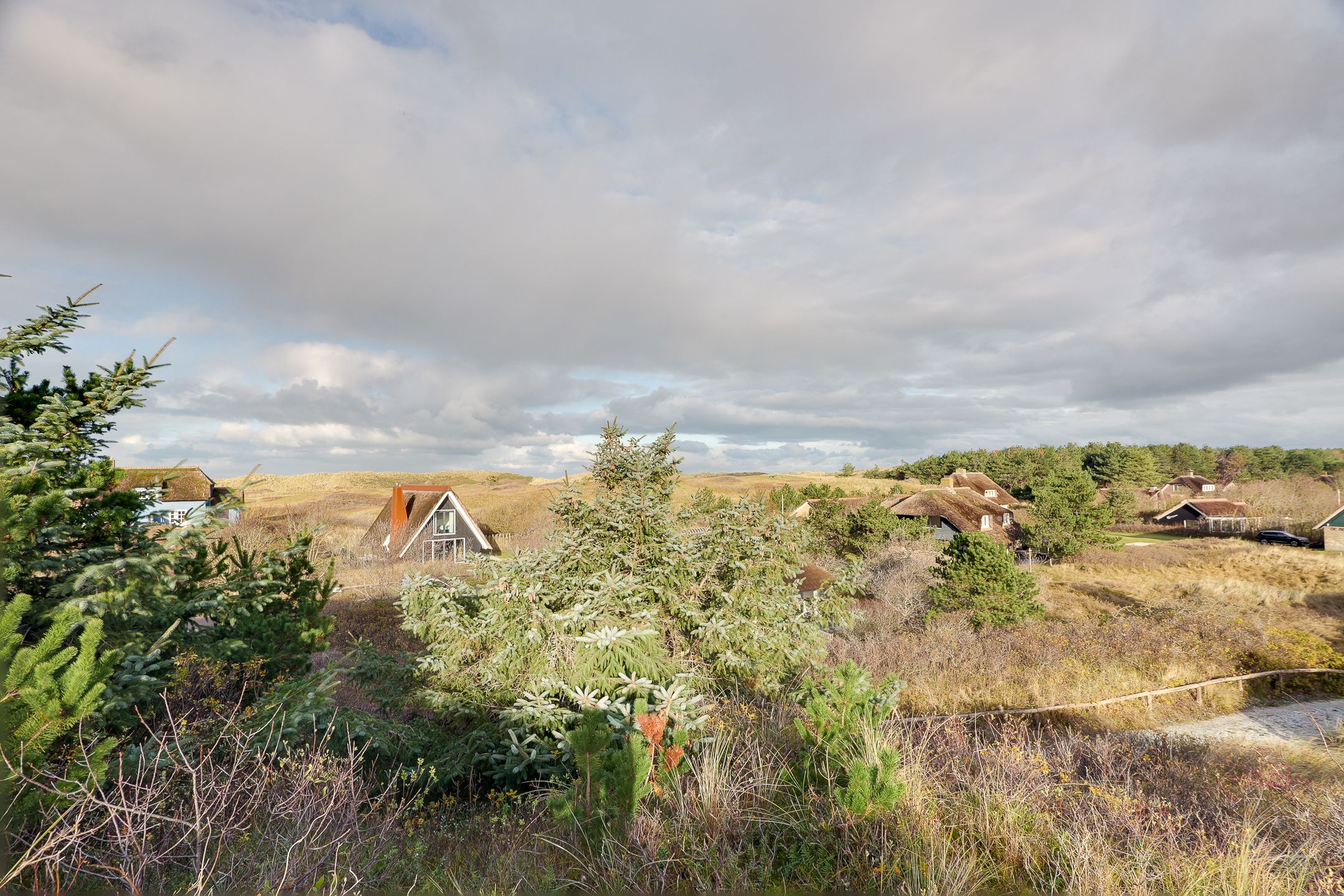 Photo 63 of Bosrand 21-A