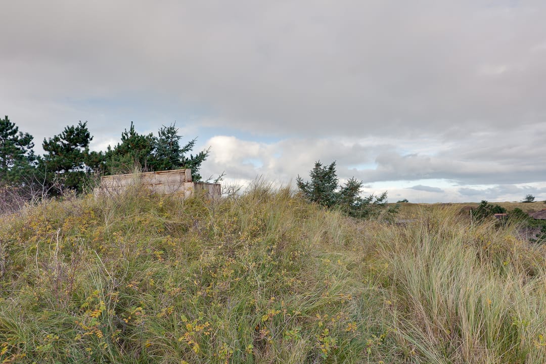 Photo 67 of Bosrand 21-A