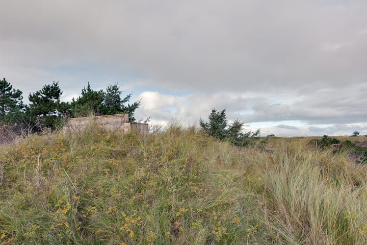 Foto 67 van Bosrand 21-A