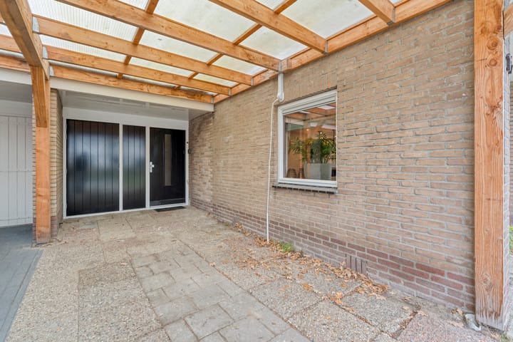 Photo 5 of Torenes 11