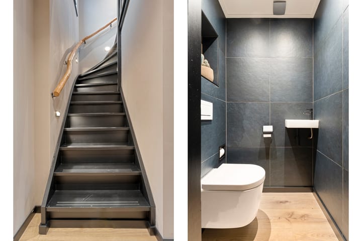 Photo 9 of Torenes 11