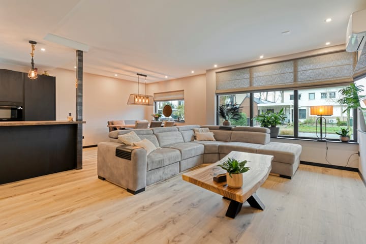 Photo 11 of Torenes 11