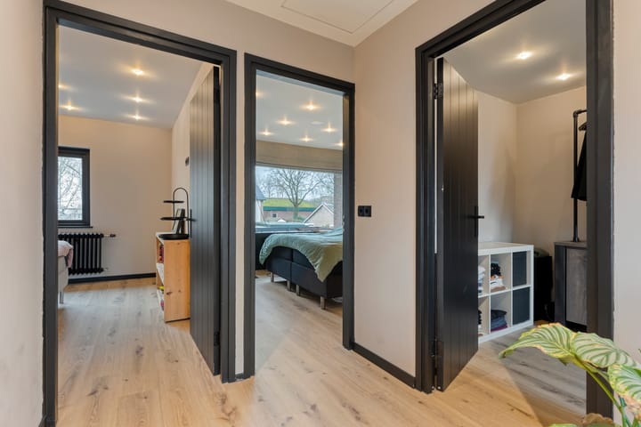 Photo 24 of Torenes 11