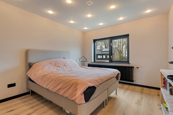 Photo 27 of Torenes 11