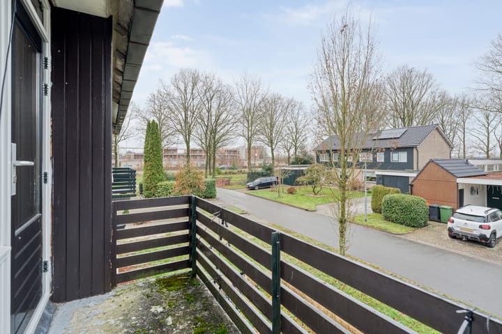 Photo 31 of Torenes 11