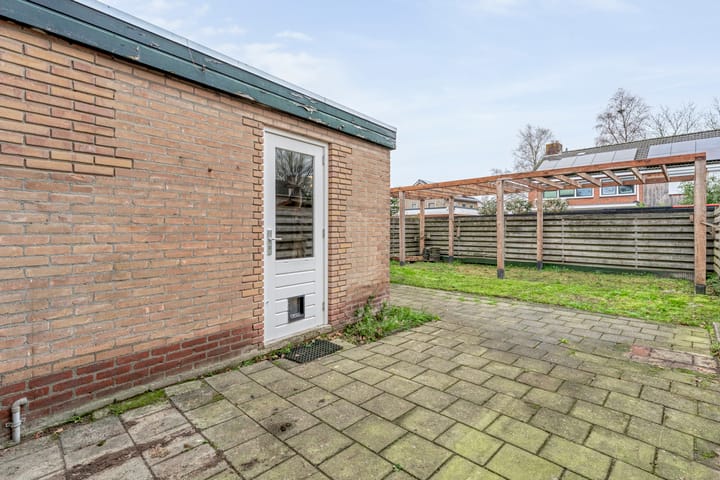 Photo 36 of Torenes 11