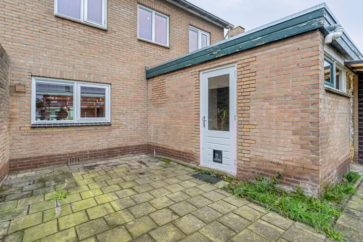 Photo 37 of Torenes 11