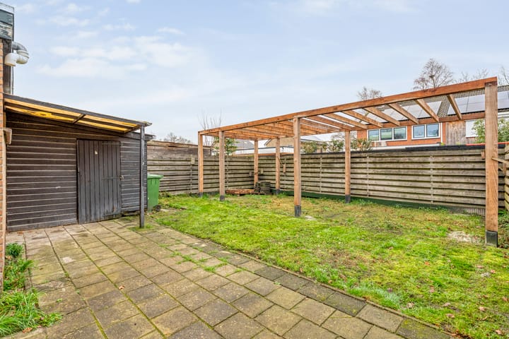 Photo 38 of Torenes 11