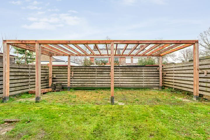 Photo 39 of Torenes 11