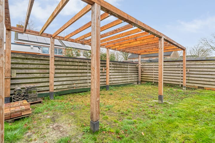 Photo 40 of Torenes 11