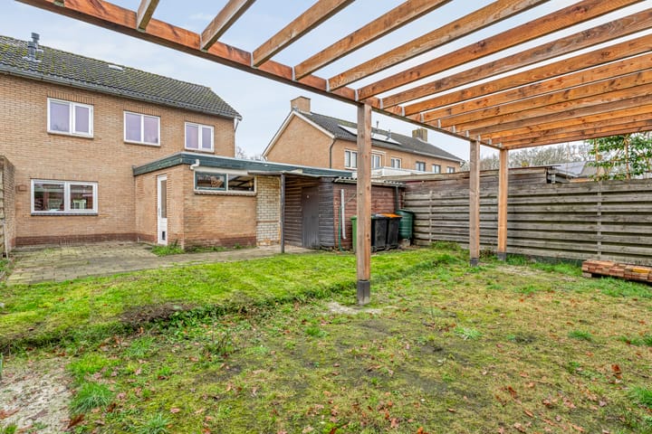 Photo 42 of Torenes 11