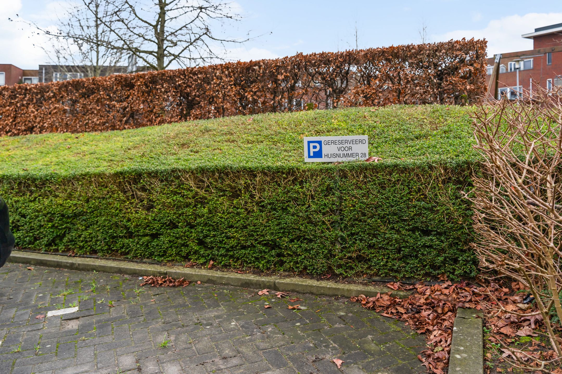 Photo 27 of Gazellenburg 28