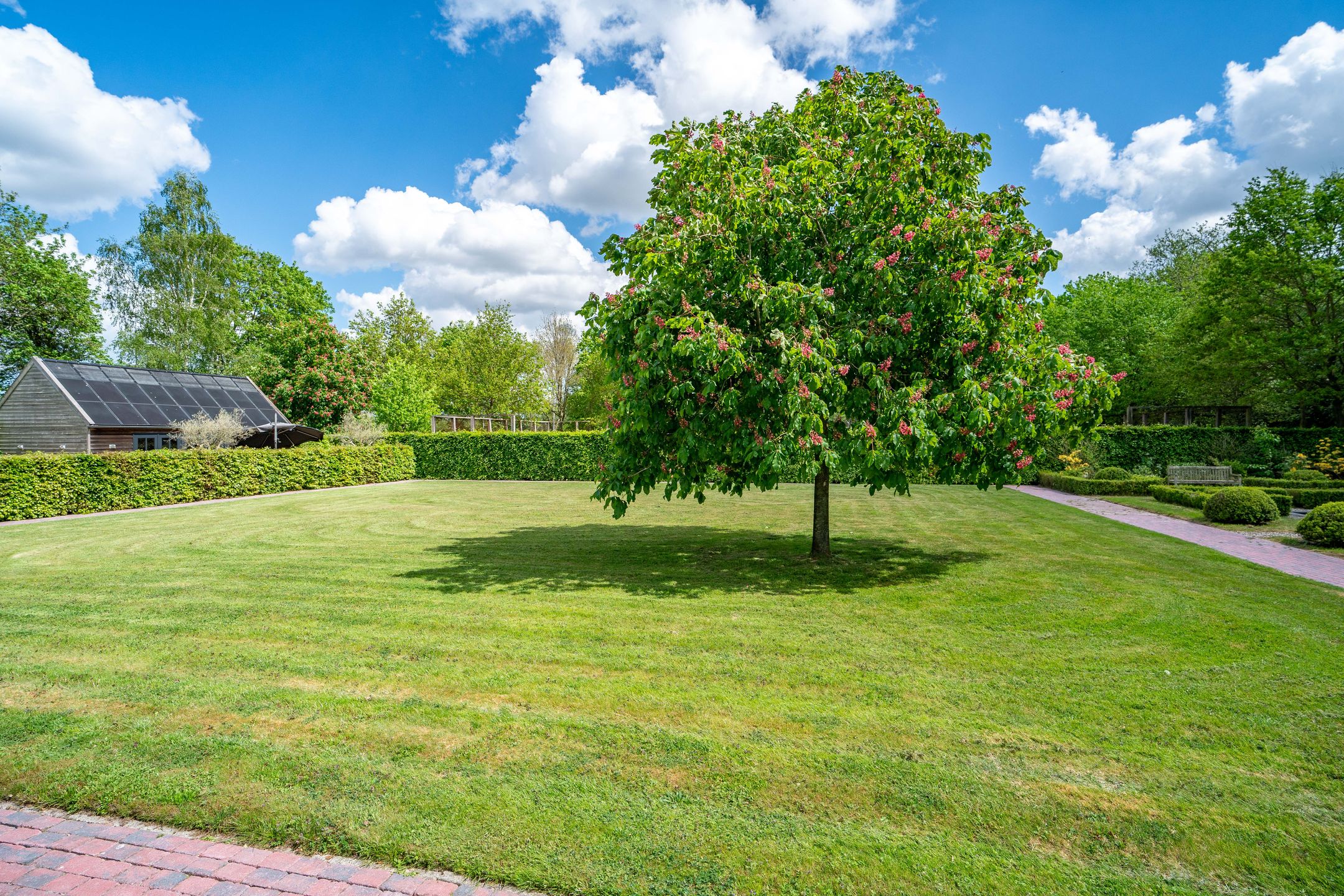 Foto 69 van Meedhuizerweg 40-A