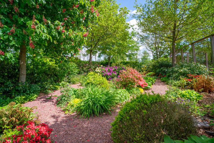 Foto 76 van Meedhuizerweg 40-A