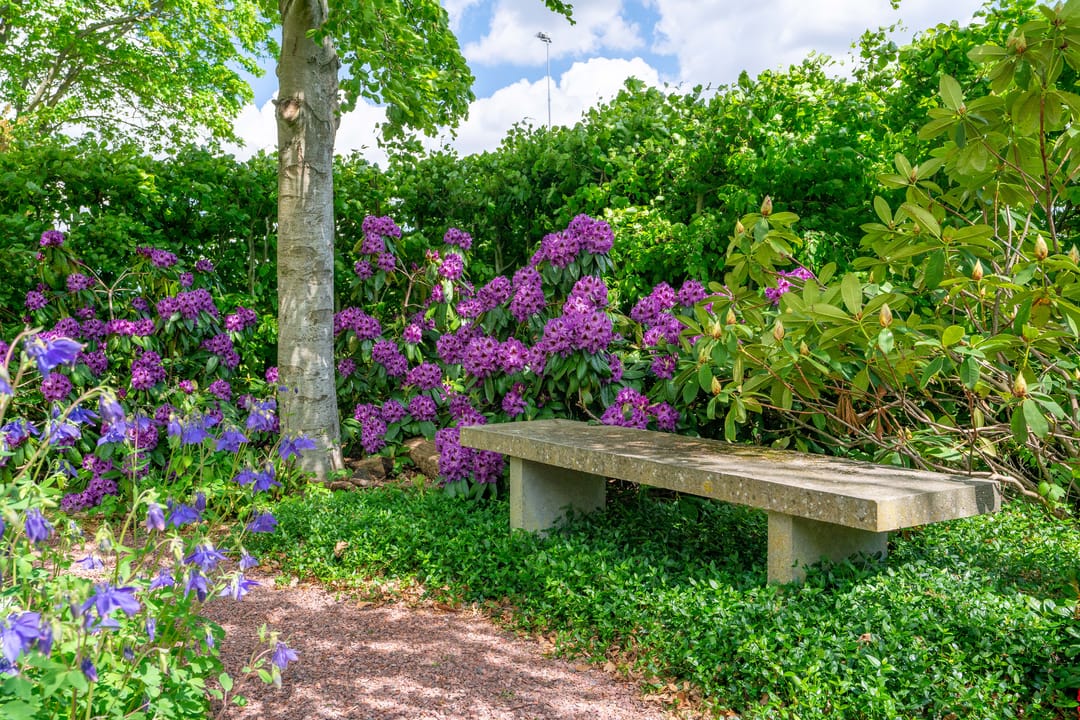 Foto 77 van Meedhuizerweg 40-A