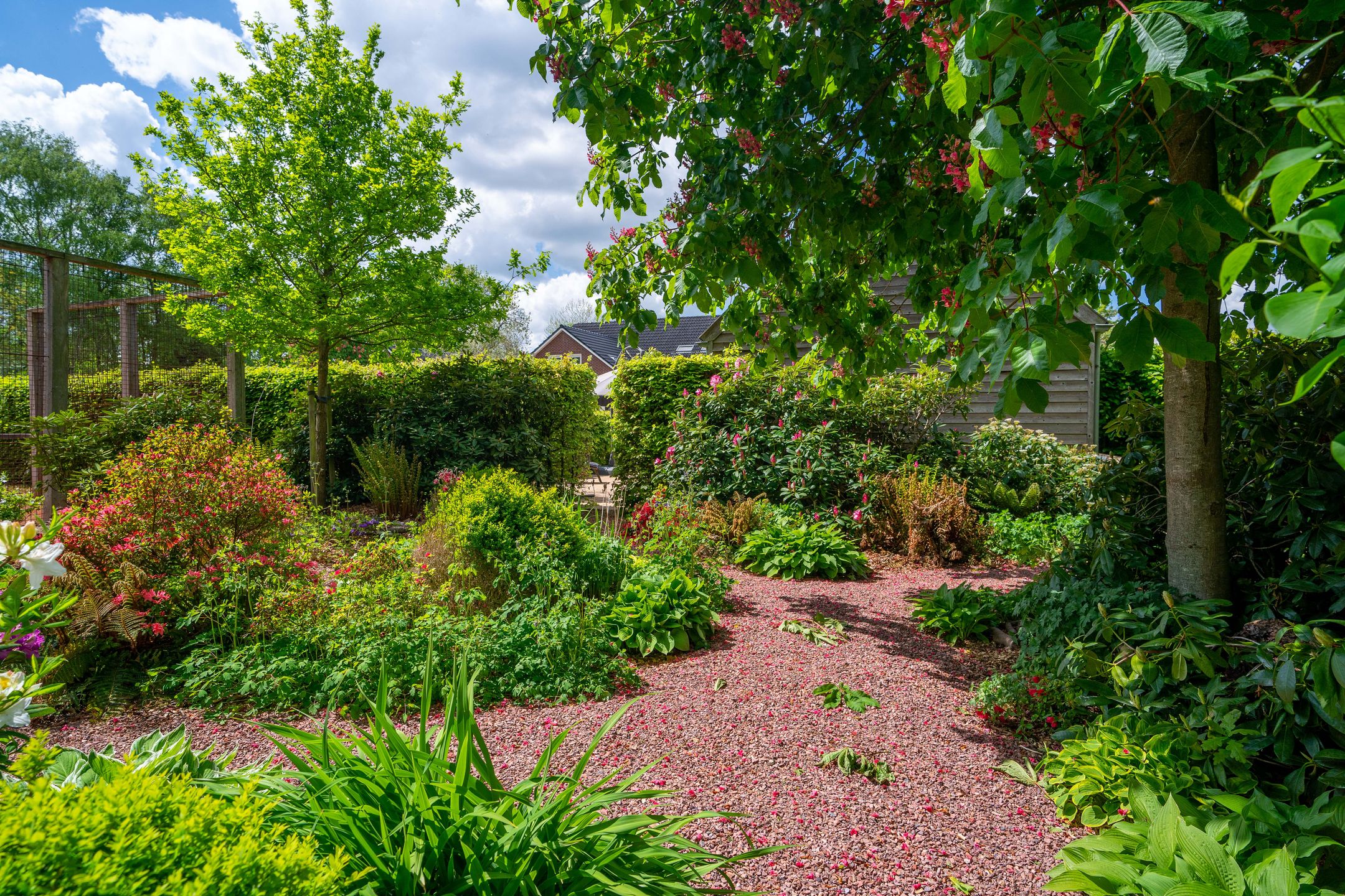 Foto 78 van Meedhuizerweg 40-A