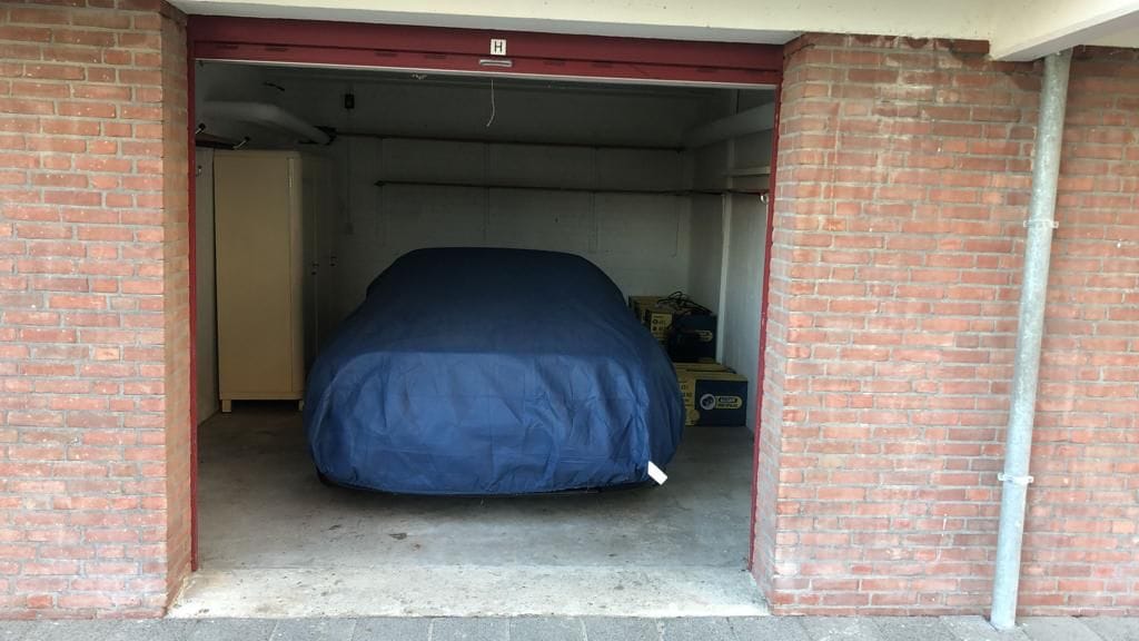 Foto 2 van Biesbosch