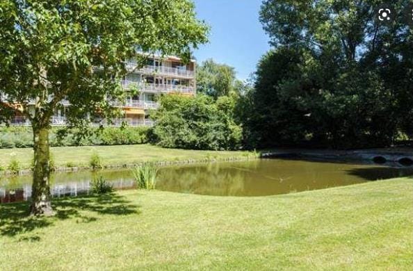 Foto 4 van Biesbosch