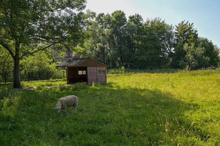 Foto 40 van Boekweitkamp 129