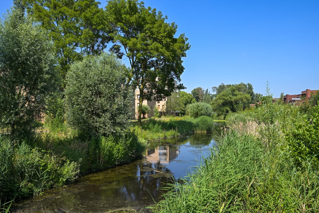 Foto 37 van Boekweitkamp 121