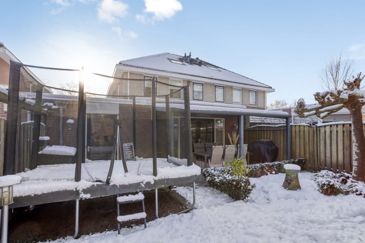 Foto 38 van de Loo 47